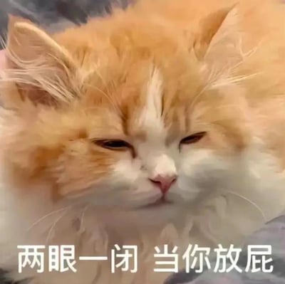 一张橘白相间的猫咪特写照片，猫咪毛发蓬松柔软，双眼半眯成一条缝，表情慵懒中带着一丝不屑。图片底部配有白色文字“两眼一闭 当你放屁”，通过猫咪的神态幽默地表达了对尴尬或不想理会的事情采取无视态度的摆烂心态，整体风格轻松搞笑。