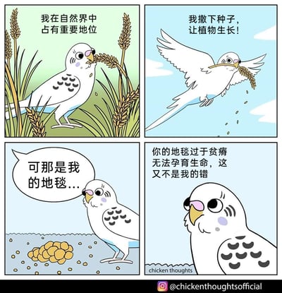 这是一幅四格连环搞笑卡通漫画，以鹦鹉的视角展开：第一格鹦鹉啄食草穗，称自己在自然界中占有重要地位；第二格鹦鹉叼着草穗飞行，声称自己在撒种子帮助植物生长；第三格画外的主人无奈指出鹦鹉弄的是自己的地毯，地毯上有鹦鹉留下的种子和类似粪便的物体；第四格鹦鹉理直气壮地甩锅，称地毯过于贫瘠无法孕育生命，不是自己的错。漫画通过将鹦鹉的宠物行为类比为自然行为，制造出反差笑点，呈现了宠物调皮又狡辩的气人又可爱的日常。
