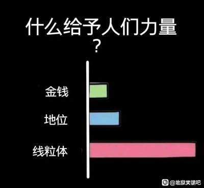 这是一张图文混排的搞笑科普梗图，以黑色为背景，顶部用白色大字提出问题“什么给予人们力量？”，下方通过横向条形图的形式展示三个选项的“力量贡献值”：金钱对应的绿色条形最短，地位对应的蓝色条形略长于金钱，而线粒体对应的粉色条形几乎占据了整个横向长度，形成强烈的视觉对比。这个梗结合了生物学知识，线粒体是细胞中负责制造能量的细胞器，被称为细胞的“动力工厂”，是人体获取能量的科学上的根本来源，与世俗认知中代表“力量”的金钱、地位形成反差，用严肃的图表形式包装冷知识，制造出荒诞又科学的幽默效果。