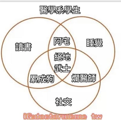一张关于医学系学生日常困境的维恩图梗图，三个圆圈分别代表'讀書'（学习）、'睡覺'（睡觉）和'社交'（社交）。两两相交区域标注为'阿宅'（只学习和睡觉的宅人）、'爛醫師'（只睡觉和社交的糟糕医生）、'累成狗'（只学习和社交的疲惫状态），三圆交集中心则幽默地称为'絕地武士'（暗示能平衡三者的强者）。顶部标题为'醫學系學生'，底部有水印'IG:doctormeme_tw'。