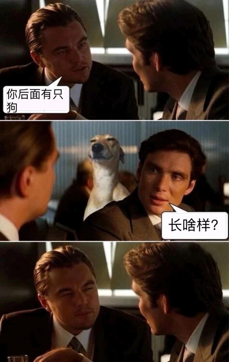 莱昂纳多·迪卡普里奥