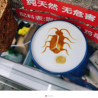 蟑螂