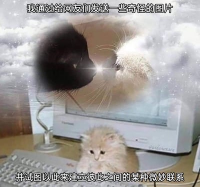 这是一张经过P图改编的趣味梗图，画面主体是老式电脑场景：显示器上合成了黑白两只猫脸相对、中间带有闪光的奇幻画面，仿佛正在进行某种“神圣”的互动；显示器前的键盘上，趴着一只浅橘色的小猫，表情懵懂低落，与上方的奇幻画面形成反差。搭配的中文配文“我通过给网友们发送一些奇怪的图片，并试图以此来建立彼此之间的某种微妙联系”，精准描绘了当代部分网友的另类社交方式——用无厘头、荒诞的奇怪图片，找到同好并建立奇妙的社交联结，整体画面充满荒诞又治愈的可爱氛围。