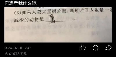 图片展示了一张考试题目截图，题目为：“(3)如果人类大量捕杀鹰，则短时间内数量一定减少的动物是______。”空白处被填写了“鹰”作为答案。图片顶部有文字“它想考我什么呢”，底部显示时间“2020-02-11 17:47”、“QQ好友可见”及QQ社交互动图标（点赞、评论、分享）。通过直白的答案制造幽默效果，因大量捕杀鹰直接导致鹰的数量减少，是一种简单却引人发笑的神回答。