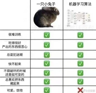 这是一张左右对比风格的图文混排表格，左侧无表头，中间列标题为“一只小兔子”并配有一张灰黑色兔子蹲坐的照片，右侧列标题为“机器学习算法”并配有神经网络结构图。表格下方有8行描述项，从“很难训练”“吃得很好 产出的东西很恶心”到“总喜欢把东西藏起来”，每行中“小兔子”和“机器学习算法”均对应绿色对勾；仅最后一行“可爱，想抱”中，“机器学习算法”列显示红色叉号。整体通过幽默对比手法，调侃小兔子与机器学习算法在“难训练”“产出不稳定”等特质上的相似性。