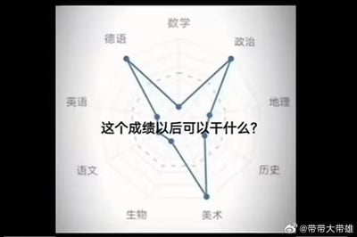 这是一张展示学科成绩的雷达图，涵盖了数学、政治、地理、历史、美术、生物、英语、德语、语文多门学科。从图中可以看到，德语、政治、美术三门学科的成绩表现突出，数学、生物成绩处于中等水平，其余学科成绩明显偏低。图中叠加了文字“这个成绩以后可以干什么？”，表达了对这种偏科成绩对应的职业方向的疑惑。结合成绩特点，这种情况可以考虑从事对外文化交流类的美术相关工作，比如涉外艺术策展、德语地区的美术设计对接，或者德语艺术专业翻译、国际艺术项目协调等职业，能发挥德语、政治（文化政策相关）、美术的综合优势。