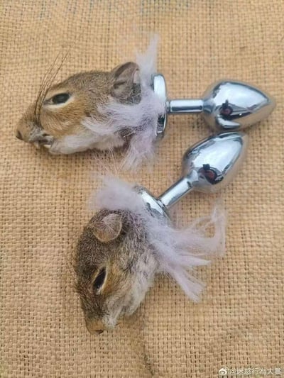 图片展示了两件突破常规认知的猎奇手工改造物品，将处理后的松鼠（或类似啮齿动物）头部标本与金属肛塞拼接在一起，连接处还残留着浅色绒毛状填充物，整体放置在粗糙的麻布背景上。这种完全违和的组合充满迷惑感，属于小众且怪异的手工作品，没有双关或谐音梗，仅以造型的怪异感冲击观者认知。