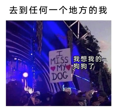 这是一张宠物爱好者向的搞笑梗图，图片上方配有中文标题“去到任何一个地方的我”，下方主体是国外一场热闹的音乐节或演唱会现场，现场灯光绚烂，人群聚集，其中有一个人举着一块白色手绘牌子，牌子上写着英文“I MISS MY DOG”，还搭配了两个红色爱心图案，牌子右侧配有中文翻译标注“我想我的狗狗了”。整张图利用热闹欢快的活动现场和举牌人思念自家狗狗的细腻心情形成强烈反差，精准表达出铲屎官无论身处多么有趣的环境，内心始终牵挂着家里宠物的状态，这种反差感让画面充满笑点，能引发广大宠物主人的强烈共情。