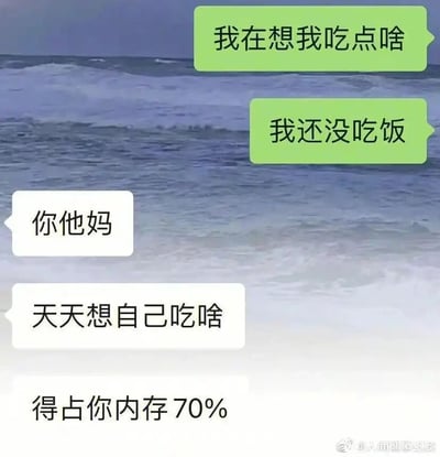 这是一张带有海浪背景的聊天记录截图，画面中绿色对话气泡的发送者先后发送了“我在想我吃点啥”“我还没吃饭”两句话，表达自己正处于未进食、思考晚餐选择的状态；白色对话气泡的吐槽者则用带有情绪的语气回应，先是爆粗口“你他妈”，接着吐槽“天天想自己吃啥”，最后用夸张的说法“得占你内存70%”来调侃对方将大量精力耗费在思考吃什么这件事上。整个对话生动还原了很多人日常生活中纠结饮食选择的常见场景，用夸张的调侃方式引发同样有“吃什么选择困难症”人群的共鸣，充满生活化的趣味。