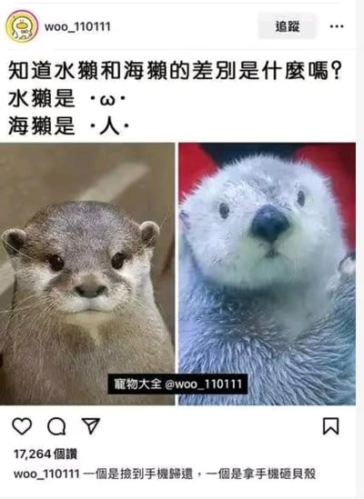 暂无描述