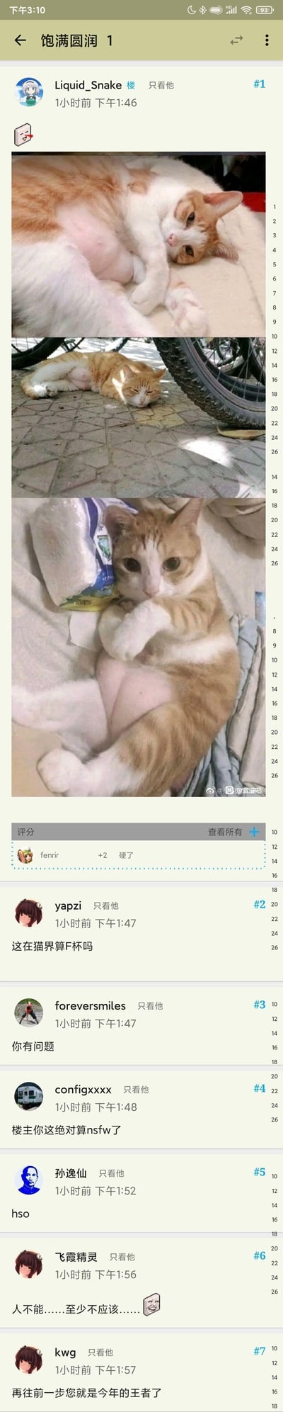 这是一张论坛帖子的截图，楼主Liquid_Snake发布了三张橘猫躺卧的照片，由于猫咪的躺卧姿势，其身体部位形成了容易让人产生误会的视觉错位效果，看起来像是人类的私密部位。楼下网友纷纷用网络黑话玩梗评论，比如“硬了”“这在猫界算厂竹的”“nsfw”“hso”等，调侃这组图的搞笑错位感，还有网友用“人不能……至少不应该……”的梗来表达调侃又无语的情绪。
视觉错位说明：橘猫的腹部和腿部因姿势堆叠，看起来形似人类的私密部位，制造出荤段子式的搞笑效果。
