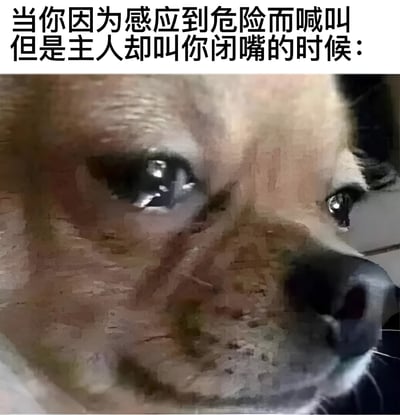 图片上方配有文字“当你因为感应到危险而喊叫但是主人却叫你闭嘴的时候：”，下方是一张狗狗的面部特写。狗狗的眼睛大而明亮，眼神中透露出明显的委屈和困惑，仿佛刚经历了被主人误解的场景，生动展现了宠物在试图提醒危险却不被理解时的复杂情绪。