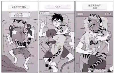 这是一组三格连环卡通漫画，描绘了人类少年与虎型兽人室友的睡眠状态变化，展现了从抗拒到习惯再到依赖的相处过程：
1. 第一格标题「它是如何开始的」：人类被兽人紧紧抱住，喘不过气，痛苦地大喊「ALRA下车！我无法呼吸！！」，满是对亲密睡姿的抗拒；
2. 第二格标题「几年后」：人类虽面露燥热、无奈的神情，却已默认了兽人依偎在自己身上的睡姿，只是小声抱怨「太热了……」；
3. 第三格标题「甚至更多的年稍后」：两人完全适应彼此，相拥着熟睡，人类还主动抱着兽人，状态十分安稳。
漫画充满温馨又搞笑的日常氛围，属于兽人向的原创内容，没有双关、谐音梗等特殊设定。