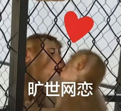两只猴子隔着铁丝网相互亲吻，上方有一个醒目的红色爱心图案，图片底部配有白色文字“旷世网恋”。画面通过真实动物的亲昵行为，结合“铁丝网”这一隔离元素与“网恋”文字，幽默地比喻了网络恋爱中双方隔着虚拟屏障交流的状态，整体氛围搞笑又温馨。