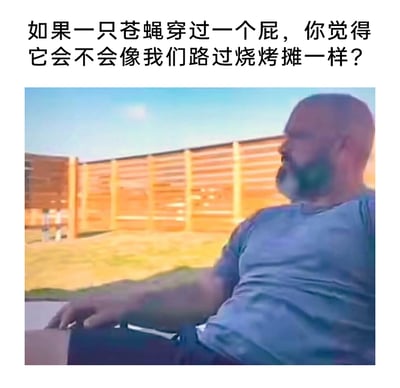 这是一张图文结合的搞笑梗图，上方配有充满无厘头脑洞的提问文字：“如果一只苍蝇穿过一个屁，你觉得它会不会像我们路过烧烤摊一样？”，将人类被烧烤摊香气吸引的体验类比苍蝇穿过屁的场景，制造出荒诞的趣味。下方是一段户外视频的截图，画面中一位穿着浅蓝色T恤的大胡子男子坐在户外，身体姿态看起来像是刚被气流冲击，这个画面和上方的提问形成趣味呼应，暗示这个气流就是屁的气流，让整个脑洞场景更具画面感，整体内容以荒诞的脑洞来博人一笑，属于网络上流行的趣味搞笑内容。