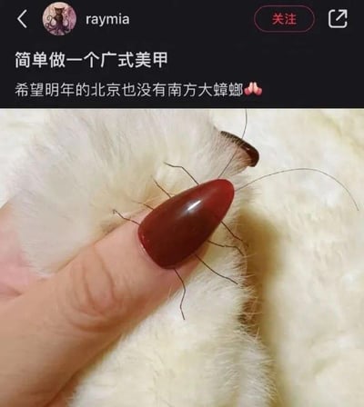这是一张社交媒体平台的截图，用户raymia发布了自己的创意美甲作品：将深红色尖形美甲搭配粘贴的黑色细线，模仿南方大蟑螂的外形，戏称其为“广式美甲”。配文还许愿“希望明年的北京也没有南方大蟑螂”，用趣味恶搞的方式调侃南方蟑螂给北方人带来的心理阴影，玩梗南北差异里蟑螂的不同体型，引发网友对南方蟑螂的共鸣。
这张图的创意在于利用美甲+细线的组合制造出蟑螂的视觉错觉，属于趣味恶搞的创意内容。