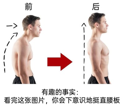 这是一张左右对比的静态图，左侧标注“前”，呈现一位男性含胸驼背的体态，黑色虚线箭头标示出头部前伸、背部弯曲的状态；右侧标注“后”，呈现该男性挺直腰板、体态端正的状态，黑色虚线标示出垂直的体态线条。中间的红色箭头指向右侧，示意体态的改善方向。图片下方配有文字“有趣的事实：看完这张图片，你会下意识地挺直腰板”，以趣味的方式提醒人们注意端正体态，看到图的人往往会不自觉地纠正自己的姿势。