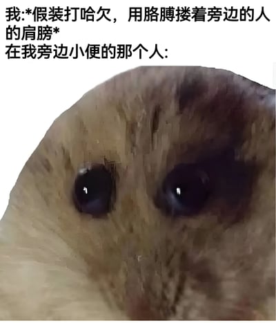 这是一张幽默梗图，上方文字描述了一个社交尴尬场景："我:*假装打哈欠，用胳膊搂着旁边的人的肩膀* 在我旁边小便的那个人:"，下方是一张啮齿动物（可能是仓鼠或豚鼠）的面部特写，动物瞪大双眼，表情极度震惊和困惑，完美呼应了文字描述的尴尬情境。通过将日常社交中的尴尬行为与动物的夸张反应结合，产生喜剧效果。