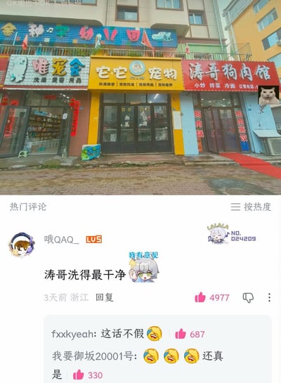 这张图分为上下两部分，上半部分是临街商铺实拍画面，三家相邻的店铺从左到右分别为提供宠物洗澡、美容服务的唯宠会、它它宠物店，最右侧是经营狗肉锅、狗肉蒸饺等菜品的涛哥狗肉馆，店铺定位形成强烈反差。下半部分是社交媒体的热门评论区，最高赞评论玩梗称“涛哥洗得最干净”，调侃狗狗不管进入左侧的宠物店还是右侧的狗肉馆，最终都会“香喷喷”的，分别对应宠物美容后干净香喷喷和被做成餐食香喷喷两种含义，下方还有其他网友附和的搞笑回复，整体是带有黑色幽默的网络玩梗内容。