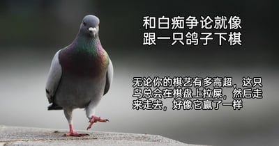 这是一张顶配底文的静态单图，画面左侧是一只真实拍摄的灰鸽子，它站在石质台面上，一只脚抬起，眼神桀骜，神态嚣张，颈部带有绿紫色的光泽羽毛。画面右侧配有两段中文讽刺文字，第一段为“和白痴争论就像跟一只鸽子下棋”，第二段为“无论你的棋艺有多高超，这只鸟总会在棋盘上拉屎，然后走来走去，好像它赢了一样”。这张图用生动的比喻，将胡搅蛮缠、不讲逻辑的争论对手比作鸽子，讽刺这类人在争论中完全不遵循规则，只会用无赖的方式来彰显自己“获胜”，精准表达了人们面对这类人时的无奈与厌烦情绪。