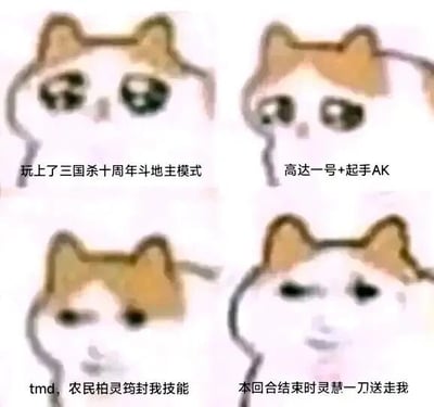 这是一张由四格委屈猫表情包组成的连环梗图，完整展现了一名玩家游玩三国杀十周年斗地主模式的心路历程：第一格中猫咪眼神期待，配文“玩上了三国杀十周年斗地主模式”，表现出玩家开启游戏时的憧憬；第二格猫咪眼神发亮，配文“高达一号+起手AK”，体现玩家拿到强力武将界徐盛（玩家俗称“高达一号”）和强力武器诸葛连弩（俗称“AK”）时的兴奋；第三格猫咪眼神低落，配文“tmd，农民柏灵筠封我技能”，表现玩家的强力武将被农民武将柏灵筠限制技能后的愤怒与无奈；第四格猫咪眼神空洞、生无可恋，配文“本回合结束时灵慧一刀送走我”，展现玩家最终被敌方技能击败的绝望。