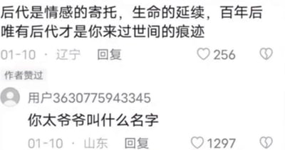 这是一段社交媒体评论区的截图，上方辽宁网友发表观点：‘后代是情感的寄托，生命的延续，百年后唯有后代才是你来过世间的痕迹’，该评论获得256个赞且被作者点赞；下方山东网友用一句‘你太爷爷叫什么名字’回复，获得了1297个赞。这个回复用犀利的方式戳破了前者观点的漏洞——多数人其实并不知晓自己太爷爷的名字，说明所谓‘后代是来过世间的痕迹’并不成立，形成了搞笑又有力的反驳效果，没有双关、谐音梗等内容。