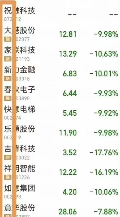 图片展示了一张股票行情列表截图，包含多只股票的名称（部分左侧字符被截断）、代码、当前股价及跌幅数据。所有股票均呈现大幅下跌态势，其中多数跌幅在9.92%-10.63%之间，"吉 科技"跌幅最高达17.76%。股价数字显示为绿色，跌幅百分比为红色（文本中以负号体现），整体布局类似股票交易软件或金融平台的行情界面。