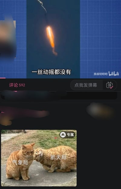 这张图是B站视频的截图，整体分为上下两个部分：上半部分展示了夜空中正在坠落的橙色发光飞行物体，下方配文“一丝动摇都没有”；下半部分是两只橘猫的实拍图，左边端正坐着、表情淡定的橘猫被标注为“气象局”，右边歪着头、一脸好奇看向一侧的橘猫被标注为“航天局”，用拟人化的猫的反应调侃两个部门面对空中不明发光飞行物的不同态度：气象局对这类天象习以为常、毫无波澜，航天局则会对这类空中异常物体高度关注、充满好奇。