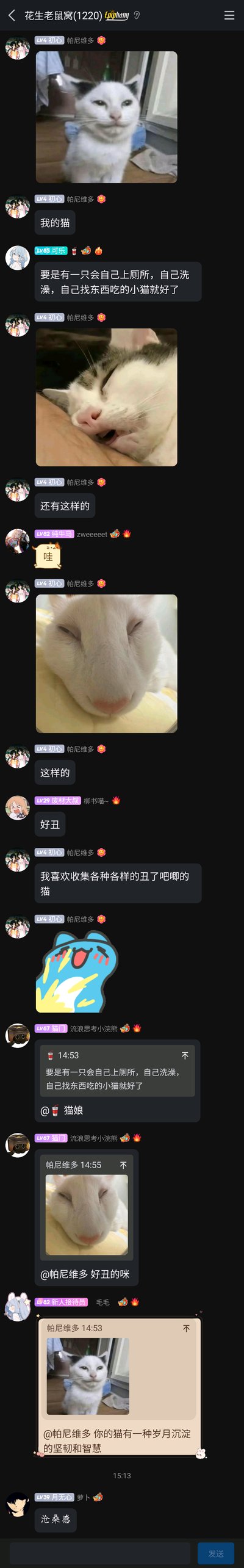 这是一张竖屏的群聊截图，群名为“花生老鼠窝(1220)”，用户帕尼维多在群里分享了多张长相独特、被群友评价为“丑”的猫咪图片，坦言自己喜欢收集这类丑萌的猫，其他群成员纷纷回应，有的表达想要省心的小猫，有的直接评价猫的长相，还有的用调侃的语气夸赞猫咪有“岁月沉淀的坚韧和智慧”“沧桑感”，整个群聊氛围轻松有趣，围绕丑萌猫咪展开互动。