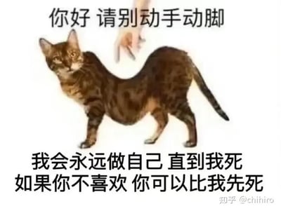 这是一张静态P图改编的图文混排梗图，画面主体是一只被修改成扭曲身体形态的斑纹猫，猫咪表情看起来无奈又带着强硬感，上方有一只人手做出摆弄它的动作。图中配有两段文字，上方文字为“你好 请别动手动脚”，下方文字为“我会永远做自己 直到我死 如果你不喜欢 你可以比我先死”，用直白又硬核的语气，表达了拒绝他人干涉、坚持做自己的态度，整体风格搞笑又充满态度，适合用于社交平台传递自己不愿被操控的情绪。图片右下角带有“知乎 @chihiro”的水印。