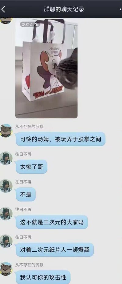 这是一段竖屏的群聊聊天记录截图，顶部附带一段12秒的实拍视频：一只真实的灰色猫咪正舔舐印有经典动画《猫和老鼠》中杰瑞形象的好利来联名纸袋。群聊成员围绕这个画面展开玩梗互动：用户“从不存在的沉默”先以动画剧情调侃“可怜的汤姆，被玩弄于股掌之间”；用户“往日不再”随即转折，先是附和“太惨了哥”，接着话锋一转，将现实猫咪的行为类比为三次元的二次元爱好者，吐槽“这不就是三次元的大家吗，对着二次元纸片人一顿爆舔”；最后“从不存在的沉默”表示“我认可你的攻击性”。整个对话用幽默的玩梗方式，将现实场景与二次元爱好者的日常关联，充满调侃趣味，没有双关、谐音梗等特殊内容。