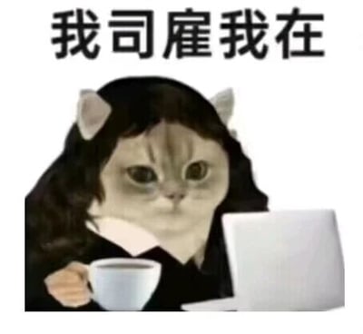 这是一张经过P图改编的静态职场表情包，创作者将猫咪的脸部与穿着黑色上衣的人类身体合成，塑造出一个坐在工位上的拟人化职场角色。角色手持一杯咖啡，面前摆放着白色笔记本电脑，眼神倦怠、神情疲惫，完美契合职场人倦怠的状态。图片顶部配有文字“我司雇我在”，以调侃自嘲的语气，表达出职场人“只是形式上在岗，实际处于摸鱼状态”的情绪，精准戳中职场人的疲惫与摸鱼心态，适合用来在社交平台抒发职场倦怠感。