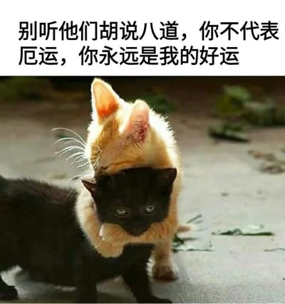 图片上方有一行黑色文字：“别听他们胡说八道，你不代表厄运，你永远是我的好运”。下方是一张实拍照片，画面中有两只小猫，一只橘色小猫正用头部温柔地蹭着一只黑色小猫的头顶，黑猫则微微抬头，眼神平静。背景是地面，散落着一些枯叶，整体氛围温暖治愈，传递出支持与肯定的情感。