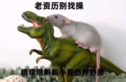 无（玩具模型）