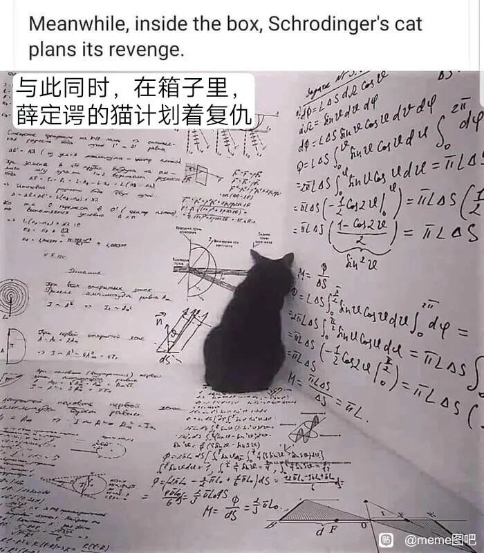 薛定谔的猫思想实验