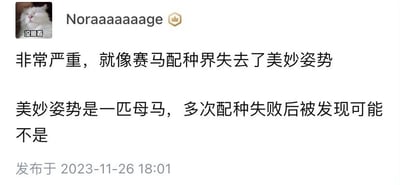 这是一张社交媒体平台的用户动态截图，发布者用户名为Noraaaaaaage，头像为一只双眼紧闭、神态嫌弃的猫咪，头像下方配有文字“没眼看”。发布的内容为两段趣味文字：“非常严重，就像赛马配种界失去了美妙姿势”“美妙姿势是一匹母马，多次配种失败后被发现可能不是”，内容讲述了一个赛马配种界的乌龙事件：名为“美妙姿势”的马被当作母马用于配种，但多次配种失败后才发现它可能并非母马，发布者用夸张的语气形容这件事的“严重性”，以此制造出荒诞搞笑的幽默感。截图显示该动态发布于2023年11月26日18:01。