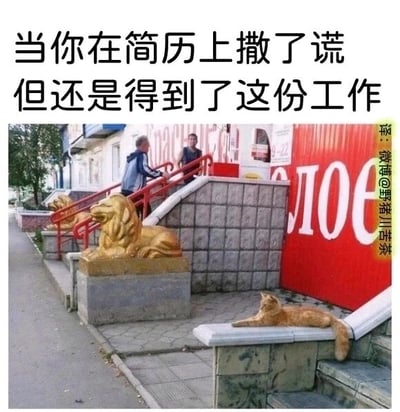 这是一张文字加注类的静态单图，顶部配有醒目的中文文字：“当你在简历上撒了谎但还是得到了这份工作”。图中展示的是一处国外街头的户外场景：台阶旁的灰色石台上，摆放着两尊造型威严的金色狮子雕塑，仿佛是岗位的“门槛”或“标准”；台阶上有两位男子正在通行，是场景中的路人；而在画面右下角的矮台边缘，一只橘猫正慵懒地趴着，四肢舒展，神态放松，完全没有狮子的威严感。这张图用巧妙的隐喻，将橘猫比作简历造假、能力配不上岗位却成功入职的职场人，狮子则象征着岗位要求的专业能力与严肃标准，橘猫混在狮子“镇守”的区域，生动又幽默地自嘲了职场中这类尴尬又好笑的经历，戳中了不少职场人的共鸣。