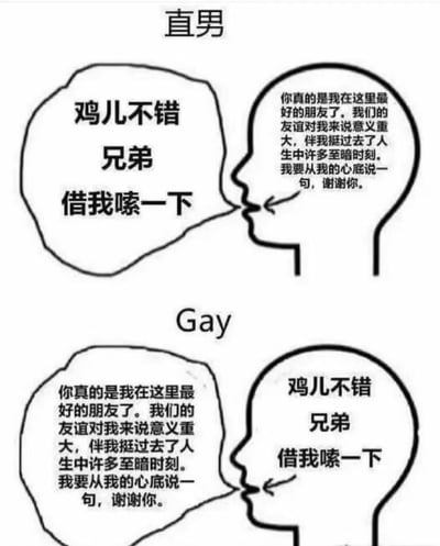 这是一张对比直男与Gay不同友谊表达方式的幽默漫画。图片分为上下两部分，上部分标题为“直男”，左侧人物说：“鸡儿不错 兄弟 借我嗦一下”，右侧人物则表达真挚友谊：“你真的是我在这里最好的朋友了。我们的友谊对我来说意义重大，伴我挺过去了人生中许多至暗时刻。我要从我的心底说一句，谢谢你。”下部分标题为“Gay”，对话内容完全互换，形成有趣的反差效果，用夸张的方式幽默地表现了不同性向人群可能存在的表达方式差异。