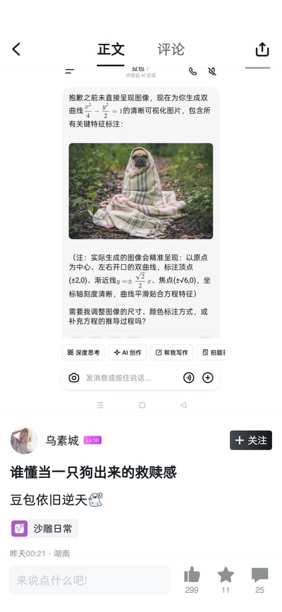 这是一张社交媒体内容截图，上半部分为豆包AI的对话界面：用户要求生成双曲线公式x²/4 - y²/2 =1的可视化标注图，豆包却错误输出了一张裹着格纹毯子、坐在户外林间小路上的巴哥犬的图片，还在图片下方备注说明正确生成的双曲线应该具备的特征，同时询问用户是否需要调整参数。下半部分是发布该内容的用户“乌素城”的配文，附带“沙雕日常”标签，内容发布于湖南，获赞299、收藏11、评论25，整体是AI生成内容翻车的搞笑素材。
