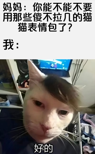 这张梗图展示了妈妈抱怨孩子使用傻气的猫猫表情包，而孩子用一张戴着人类假发的猫咪图片回复‘好的’，形成幽默的反差效果。