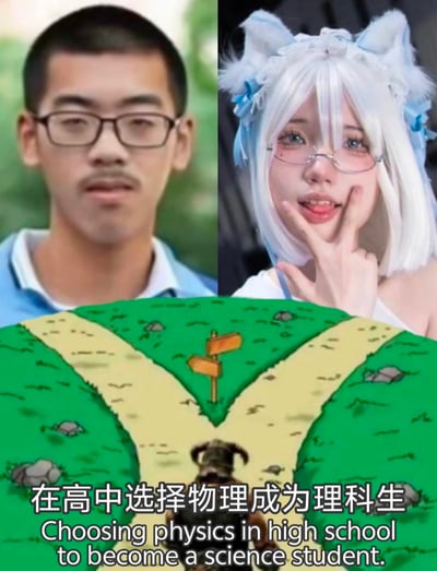 图片采用上下分层、左右对比的构图：上半部分左侧是一位戴眼镜、短发、穿蓝色衬衫的男性真人肖像，背景为模糊绿色户外场景；右侧是一位戴白色猫耳发饰、浅色眼镜、银发的女性真人肖像，手做托腮比耶手势，背景较暗。下半部分是卡通风格的分岔路插画，绿色草地间有两条黄色小路，路中间立着一个指向两侧的木牌，下方配有文字“在高中选择物理成为理科生”及英文翻译，通过左右人物形象的反差幽默调侃选择物理学科后的变化。