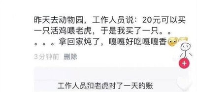 这是一张微信朋友圈的社交媒体截图，内容为博主分享的趣味经历：在动物园花20元买下原本用于投喂老虎的活鸡，却带回家炖熟食用，还调侃鸡肉“嘎嘎好吃嘎嘎香”。下方配有一条神评论“工作人员和老虎对了一天的账”，通过偷换买鸡的用途，制造出荒诞反差的搞笑效果，让原本正常的动物园投喂行为变成了啼笑皆非的日常趣事。