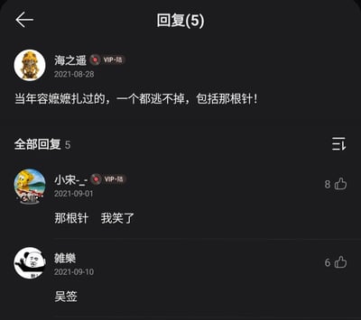 这是一张社交媒体评论区的静态截图，展示了2021年的三条互动评论。用户“海之遥”以经典电视剧《还珠格格》里容嬷嬷用针扎人的情节玩梗，评论“当年容嬷嬷扎过的，一个都逃不掉，包括那根针！”；用户“小宋-_-”回复表示被“那根针”的表述逗笑；用户“雜樂”则结合2021年的时事热点，用“吴签”的谐音梗回应，将“针”与当时被网友调侃为“吴签”的吴某凡关联起来，形成了结合影视经典梗和时事热点的趣味玩梗内容，评论区的互动体现了网友的幽默和对热点的调侃。