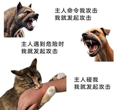这是一张图文混排的趣味梗图，通过呈现三种不同动物的攻击触发逻辑，制造出强烈的反差搞笑效果。图中上方左侧是一只表情凶狠、张嘴露牙的犬类，配文“主人命令我攻击 我就发起攻击”，体现出犬类服从主人指令的特质；上方右侧是另一只同样凶狠的犬类，配文“主人遇到危险时 我就发起攻击”，展现犬类护主的属性；下方是一只三色猫，正抱着人的手臂啃咬，配文“主人碰我 我就发起攻击”，用猫咪的“叛逆”行为和狗狗的忠诚形成鲜明对比，调侃猫咪傲娇、难以捉摸的性格，引发宠物爱好者的共鸣。