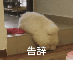 毛茸茸小狗低头告辞动态图