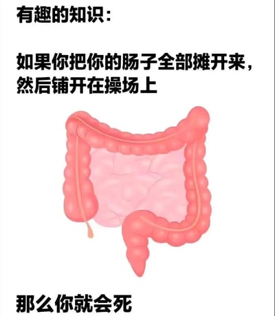 图片上方以黑色粗体字标注“有趣的知识：”，正文部分用较大字号黑色文字写道“如果你把你的肠子全部摊开来，然后铺开在操场上 那么你就会死”，中间配有一幅卡通风格的人体肠道插图，整体通过将生理现象进行夸张假设，制造出无厘头的幽默效果。