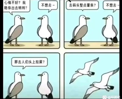 这是一幅四格连环卡通漫画，讲述了一只海鸥试图安慰心情不好的同伴：先是提议出去转转、去码头抢薯条，都被同伴拒绝；最后提出去人们头上拉屎的搞怪提议，立刻得到同伴响应，两只海鸥一起飞出去。漫画抓住海鸥爱抢食物、喜欢在人头上拉屎的真实习性，用反差感制造笑点，把调皮的搞破坏行为变成治愈坏心情的方式，幽默又贴合动物设定。