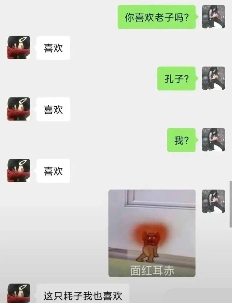 猫和老鼠