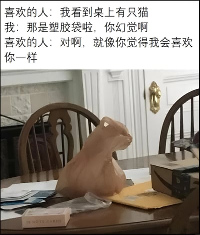 图片上半部分为对话文字，内容是：“喜欢的人：我看到桌上有只猫 我：那是塑胶袋啦，你幻觉啊 喜欢的人：对啊，就像你觉得我会喜欢你一样”。下半部分是一张实拍照片，桌上放着一个皱巴巴的透明塑料袋，其形状从特定角度看酷似一只猫的轮廓。整体通过“误认塑料袋为猫”的生活化场景，结合反转式对话制造幽默又扎心的拒绝效果，展现了暗恋中的尴尬与自嘲。