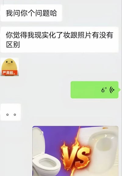 这是一张微信聊天记录截图，内容为对话中的一方向另一方提问，询问自己现实中化完妆的样子和照片里有没有区别，同时发送了一个配文“严肃脸”的黄色卡通表情包。另一方回复了一条6秒的语音消息后，提问方先发送了两个句号表示疑惑，随后发出一张对比图：图中左侧是坐式马桶，右侧是蹲式马桶，中间配有带火焰特效的金色VS标识，用二者本质都属于马桶但使用形态差异巨大的特点，隐晦吐槽化妆后的本人和照片虽然同为本人，但外观差距非常大，笑点十足。